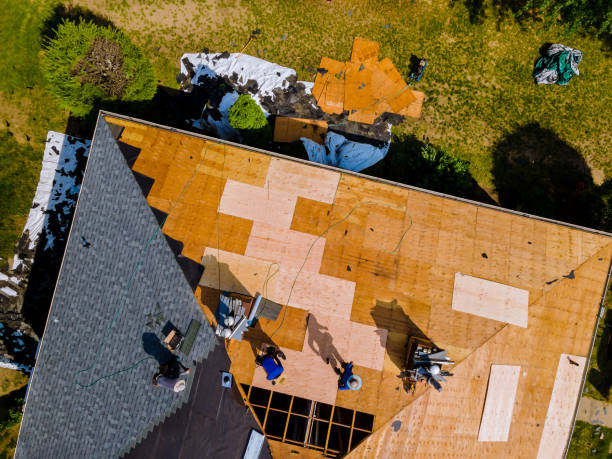 Best Metal Roofing Contractor  in University Of Virginia, VA